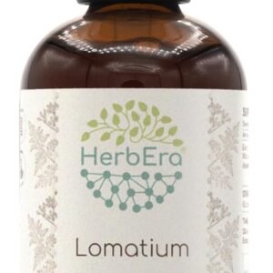 HerbEra Lomatium B120 Alcohol-Free Herbal Extract Tincture, Concentrated Liquid Drops Natural Lomatium (Lomatium Dissectum) 4 fl oz