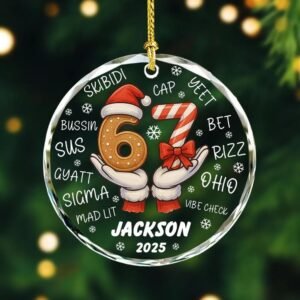 Funny Six Seven Glass Ornament Christmas 2025, Personalized 67 Meme Ornament, Viral Humor Ornaments Gift for Family Friends, Trendy 67