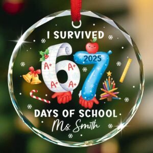 Funny Six Seven 6 7 Trendy Christmas Ornament 2025, Personalized Name I Survived Days of School Glass Ornament, Six Seven Viral Meme Classroom Ornaments, Custom Funny 67 Teacher & Student Keepsake